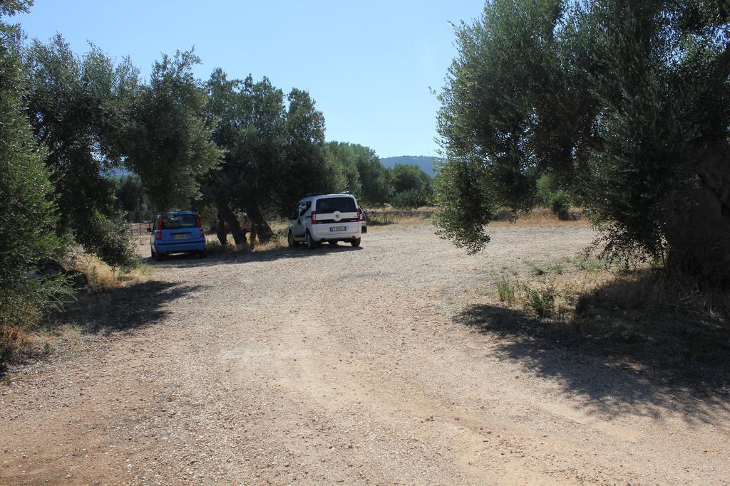 Masseria Vagone Macchia di Monte Extérieur photo