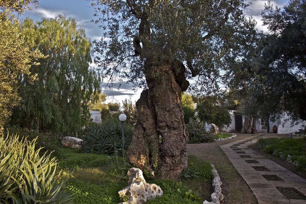 Masseria Vagone Macchia di Monte Extérieur photo
